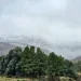 COMARCA SERRANA: Aparecieron las primeras nevadas en Las Sierras