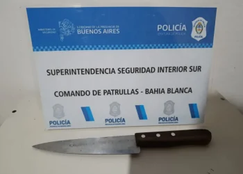 BAHIA BLANCA: Una mujer agredió a su cuñada con un cuchillo y quedó  detenida