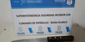 BAHIA BLANCA: Una mujer agredió a su cuñada con un cuchillo y quedó  detenida
