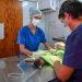 BAHIA BLANCA: Veterinaria municipal «cronograma de atención del 29 de junio al 3 de julio»
