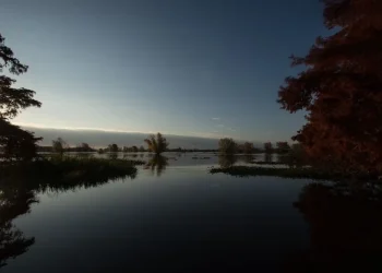 Río Paraná Contaminación: Ordenan indagatoria de directivos de una agroquímica y de funcionarios provinciales