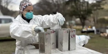 Murió la mujer que había sido diagnosticada con hantavirus en Bariloche