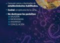 TORNQUIST: Ante el brote de triquinosis en la región, recomendaciones de la Secretaría de Salud
