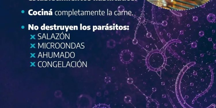 TORNQUIST: Ante el brote de triquinosis en la región, recomendaciones de la Secretaría de Salud  Frente a un brote de triquinosis registrado en distintos puntos de la Provincia de Buenos Aires, la Secretaría de Salud de Tornquist Municipio recuerda a la comunidad la importancia de adoptar medidas de prevención para evitar esta enfermedad.