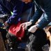 BAHIA BLANCA: Atención veterinaria en la primera semana de agosto
