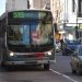 BAHIA BLANCA: El transporte público retoma sus frecuencias habituales