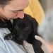 BAHIA BLANCA: Atención veterinaria del 27 al 31 de julio