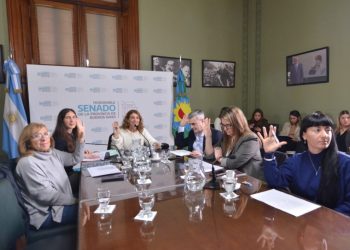 Senadores repudiaron la quita de los subsidios al transporte para personas con discapacidad