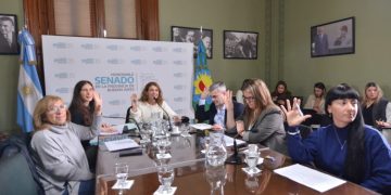 Senadores repudiaron la quita de los subsidios al transporte para personas con discapacidad