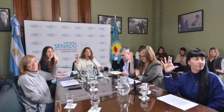 Senadores repudiaron la quita de los subsidios al transporte para personas con discapacidad  En el marco de la comisión de Discapacidad, senadores bonaerenses repudiaron la quita de los subsidios al transporte para las personas con discapacidad.