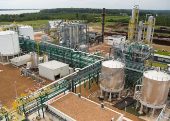Advierten que la reforma de Milei a la ley de Biocombustibles fundirá a las pymes bonaerenses