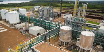Advierten que la reforma de Milei a la ley de Biocombustibles fundirá a las pymes bonaerenses