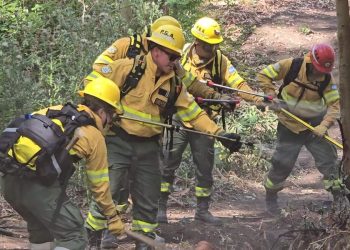 Senadores apuntan contra Milei por demorar los fondos para bomberos voluntarios
