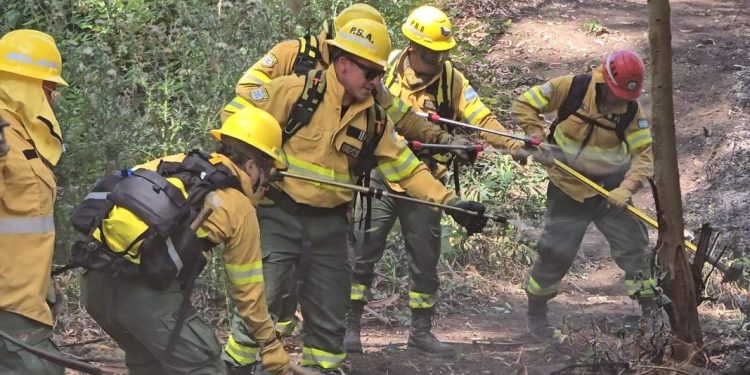 Senadores apuntan contra Milei por demorar los fondos para bomberos voluntarios  El senador Sergio Vargas presentó un proyecto en el que alertó por la demora en los pagos del Sistema Nacional de Bomberos Voluntarios.