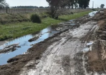 Caminos rurales: el 79% de los productores bonaerenses dicen que están en malas condiciones