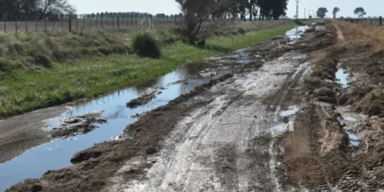 Caminos rurales: el 79% de los productores bonaerenses dicen que están en malas condiciones  Argentina cuenta con 500.000 kilómetros de caminos rurales, que representan el 82% de toda la red vial. Los consultados denuncian gran falta de mantenimiento.