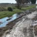 Caminos rurales: el 79% de los productores bonaerenses dicen que están en malas condiciones