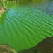 Cianobacterias: alerta naranja en 17 municipios bonaerenses por riesgo en el agua