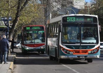 BAHIA BLANCA: El transporte público retoma sus frecuencias habituales