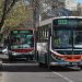 BAHIA BLANCA: El transporte público retoma sus frecuencias habituales