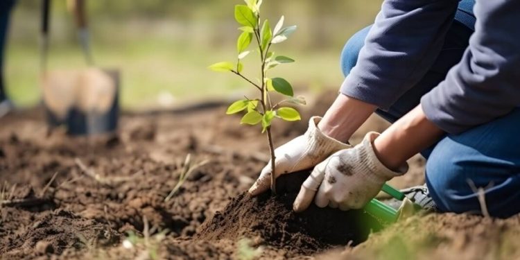 Impulsan una ley de arbolado para combatir el cambio climático en la provincia  Malena Galmarini presentó un proyecto para crear un Plan Provincial de Arbolado, con la idea de tomar acciones para combatir el cambio climático.