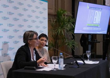 Diputados dictaminó la Ley Ema para prevenir casos de violencia digital en escuelas