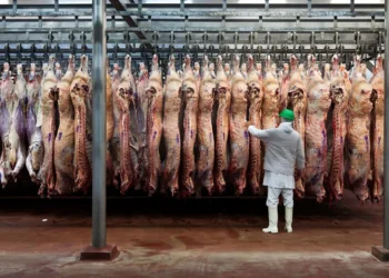 Argentina quedó fuera del nuevo cupo de 300.000 toneladas de carne que importará EE.UU.