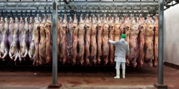 Argentina quedó fuera del nuevo cupo de 300.000 toneladas de carne que importará EE.UU.