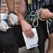 BAHIA BLANCA: Vacunación antirrábica