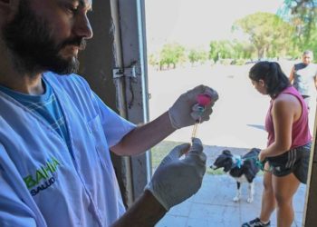 BAHIA BLANCA: Nuevo punto de atención de la oficina de Veterinaria y Zoonosis