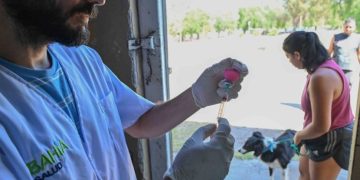 BAHIA BLANCA: Nuevo punto de atención de la oficina de Veterinaria y Zoonosis