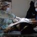 BAHIA BLANCA: Veterinaria y Zoonosis «servicios previstos entre el 7 y 11 de septiembre»