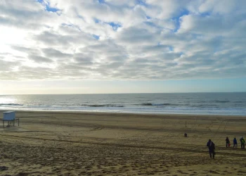 BAHIA BLANCA: Un estudio revela presencia de microplaticos en el estuario y playas