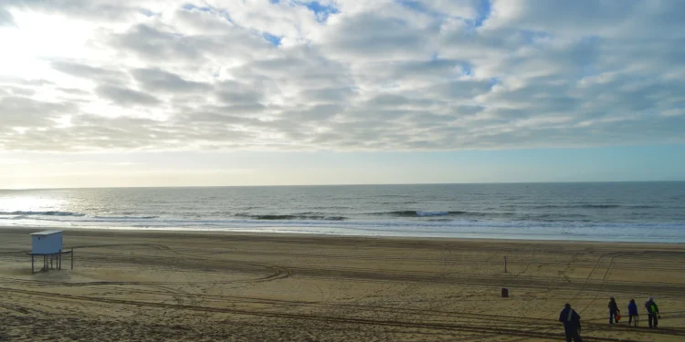 BAHIA BLANCA: Un estudio revela presencia de microplaticos en el estuario y playas  Una investigación realizada en el marco de una tesis doctoral analizó durante dos años la presencia de microplásticos en distintos puntos del estuario de Bahía Blanca y las playas de Monte Hermoso y Pehuen Có. El 86% de las ostras estudiadas presentó al menos una de estas partículas en su interior.
