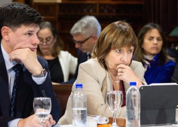 Otro fracaso de Bullrich: se cayó la sesión del Senado para tratar Biocombustibles