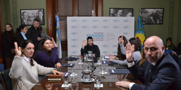 El Senado despachó una ley para penar el negacionismo de los crímenes de la dictadura  La comisión de Derechos Humanos y Garantías del Senado bonaerense avanzó con un proyecto para penar los discursos negacionistas del terrorismo de Estado.