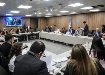 Diputados vuelve a debatir el endeudamiento familiar y la emergencia en discapacidad