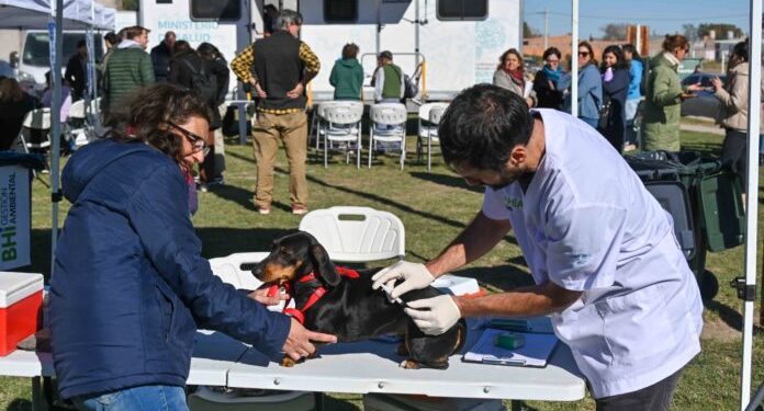 BAHIA BLANCA: Aplicación de antiparasitario y de antisárnicos  La Dirección de Veterinaria y Zoonosis organizó para este miércoles una jornada de aplicación de antiparasitario y de antisárnicos.
