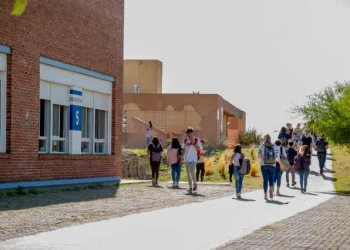BAHIA BLANCA: La UNS cambia el programa de acompañamiento a los ingresantes: los cursos serán virtuales desde 2027