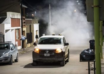 BAHIA BLANCA: Plan municipal de fumigación «cronograma establecido hasta el 14 de octubre»
