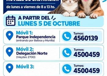 BAHIA BLANCA: Veterinaria y Zoonosis: servicios de atención entre el 5 y 9 de octubre