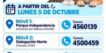 BAHIA BLANCA: Veterinaria y Zoonosis: servicios de atención entre el 5 y 9 de octubre