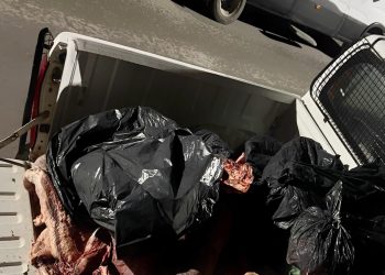 MEDANOS: Investigan la faena clandestina y la venta de carne sin trazabilidad tras allanamientos positivos