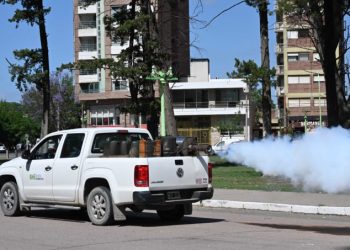 BAHIA BLANCA: Plan municipal de fumigación