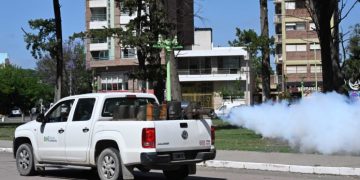 BAHIA BLANCA: Plan municipal de fumigación