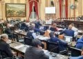 Holgada aprobación a un proyecto para fondos en discapacidad en Diputados