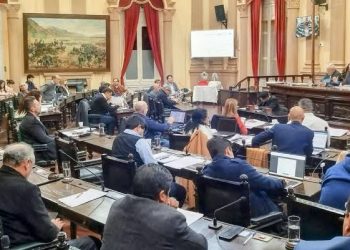 Holgada aprobación a un proyecto para fondos en discapacidad en Diputados