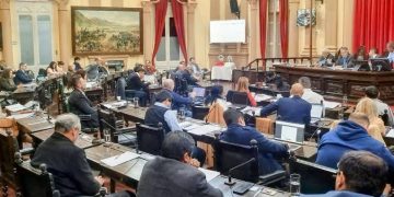 Holgada aprobación a un proyecto para fondos en discapacidad en Diputados