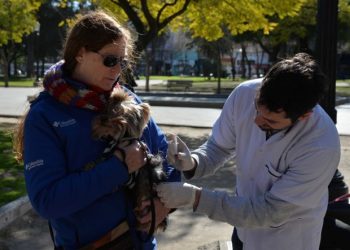 BAHIA BLANCA: Atención veterinaria municipal