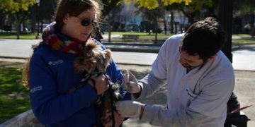 BAHIA BLANCA: Atención veterinaria municipal